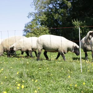 Villanypásztor Háló Bárányok számára,magassága 90 cm, 50 m hosszúságú,14 pózna dupla leszúróval